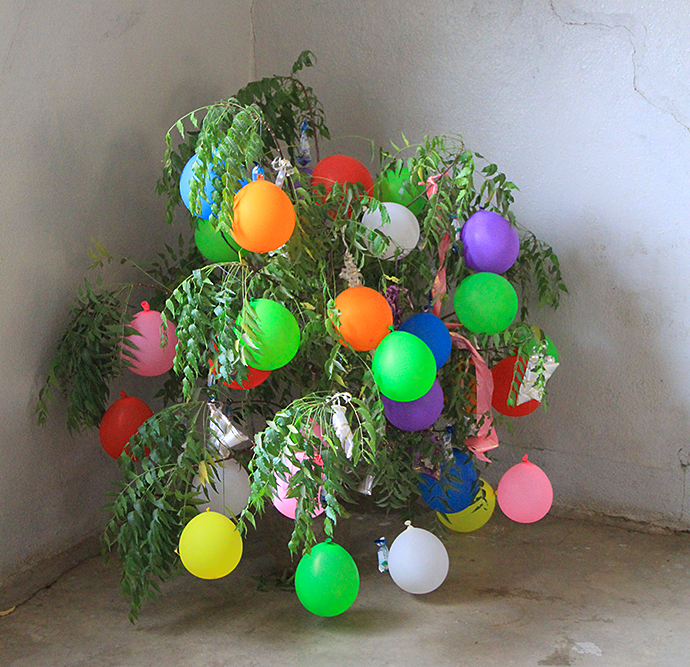 Weihnachtsbaum KamerunAfrika