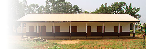 Ashia Kamerun Non-Profit-Verein